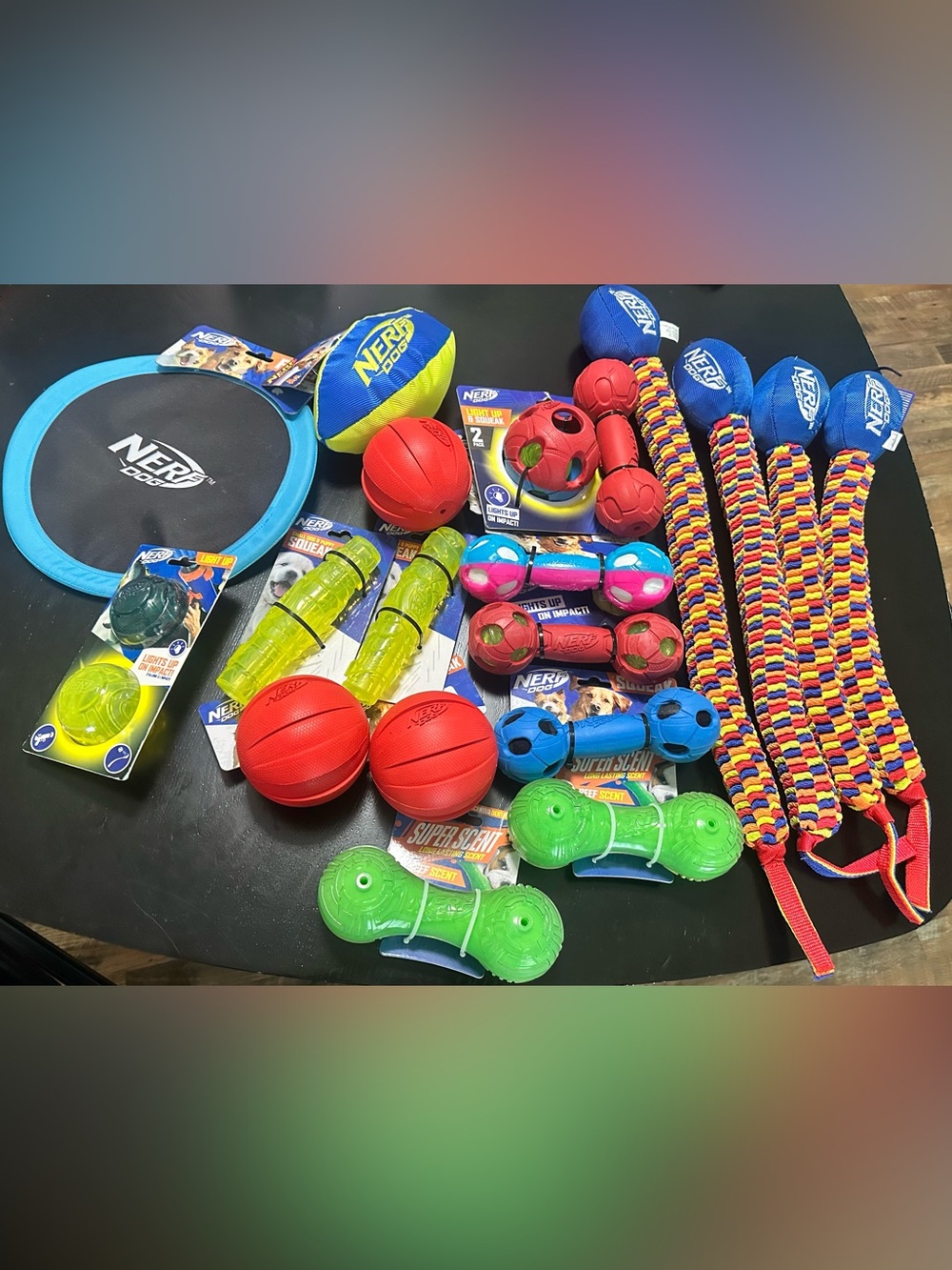Nerf Multi-Color Dog Toy Assortment – Red, Blue, Green, Yellow, Pink